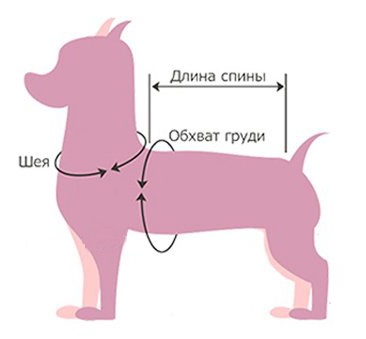 Как измерить собаку